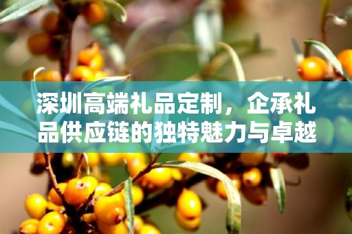 深圳高端礼品定制，企承礼品供应链的独特魅力与卓越服务